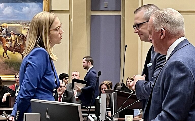 Legislature removes Allie Friesen as mental health commissioner