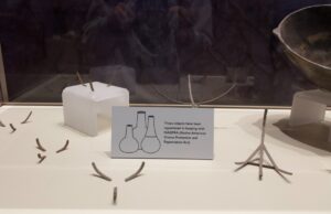 With 18th largest collection of Native American remains, OU museum hiring repatriation coordinator Native American remains