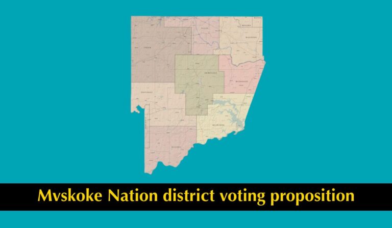 Elect 2 or 16? Muscogee election to decide ballot question on at-large vs. district-based voting