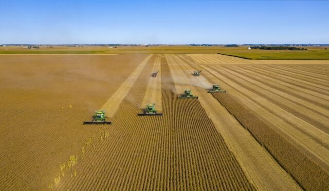 soybeans oklahoma soybeans