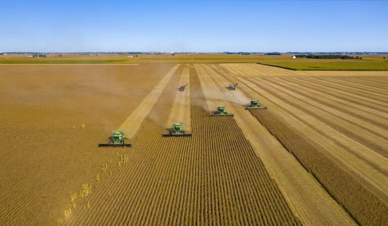 Oklahoma soybean farmers among trade war casualties